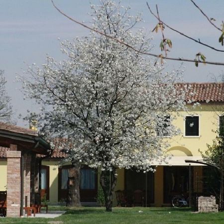 Particolari Del Brenta Apartman Oriago Di Mira Kültér fotó