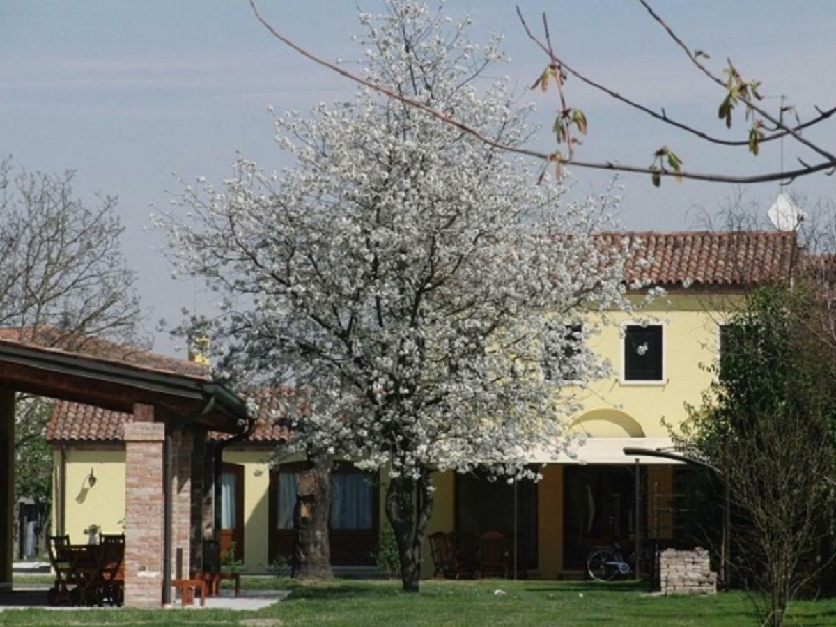 Particolari Del Brenta Apartman Oriago Di Mira Kültér fotó